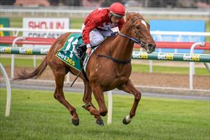 Classy filly breaks maiden at Geelong